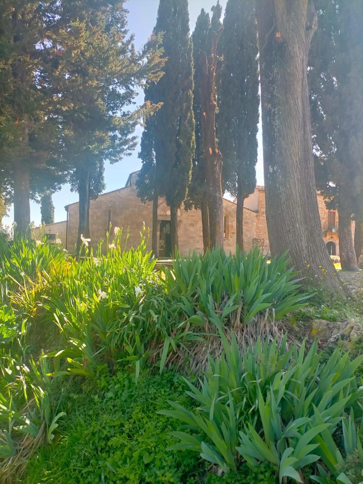 Villa Cielo - Antica Casa Sulla Via Francigena San Gimignano Exterior foto